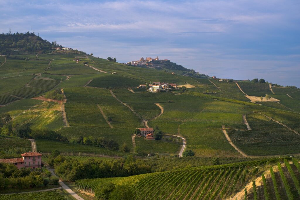 Home nature, vineyard, agriculture, hills, barolo, langhe, piemonte, barolo, barolo, barolo, barolo, barolo, langhe, langhe, langhe